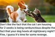 Neighbor Violated Apartment Rules By Having A Dog So She Pet Sit A Cat For A Week. But When The Neighbor Threatened To Turn Her In  She Notified The Landlord Of The Dog.