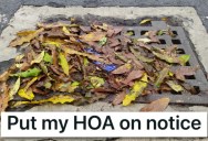 Homeowner Disagreed With His HOA That His Yard Wasn’t “In Harmony With The Neighborhood,” So He Discovered The HOA Wasn’t Maintaining Their Property And Put Them On Notice