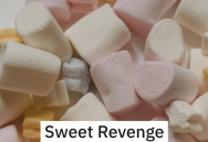 Babysitter Is Furious When Spoiled Kid Steals Her Daughter’s Marshmallows, So She Decides To Teach Him A Lesson In The Best Way Possible