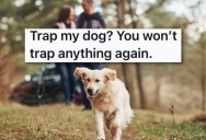 His Neighbor Kept Catching His Dog In Wolf Snares, So He Went Out And Destroyed All The Traps For Good