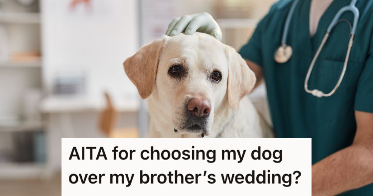 His dog was hit by a bicycle, so he decided not to go to his brother’s wedding. Now everyone is mad at him. » TwistedSifter