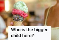 The Kids She Was Looking After Bullied A Disabled Man, So She Took Their Ice Cream Away And Had Her Contract Extended By Their Mom