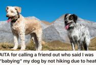 She Bowed Out Of A Hike Because It Was Too Hot For Her Dog And Someone Made Fun Of Her For It, But She Had A Comeback Ready To Shut Him Down