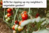 Entitled Neighbor Planted His Tomatoes On This Guy’s Property, So He Ripped Them Out And Now The Neighbor Is Mad At Him