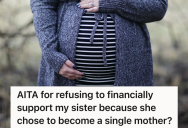 Brother Encouraged His Sister To Try IVF To Get Pregnant, But Now That She’s Pregnant And Struggling Financially He’s Refusing To Help Her