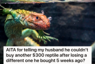 Her Husband Wants To Get An Exotic Reptile, But She Thinks It Costs Too Much And Told Him No