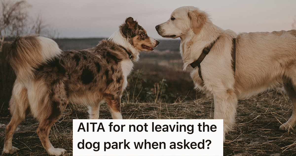 She took her dog to the public dog park to play, but when another dog owner asked her to leave, she refused because it wasn’t her personal puppy playground » TwistedSifter