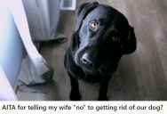 His Wife Wants To Rehome The Family Dog Because She Claims It’s Affecting Her Health, But Hubby Stands Firm And Says The Pup Is Staying Put