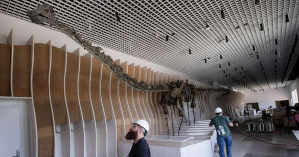 Source: Natural History Museum