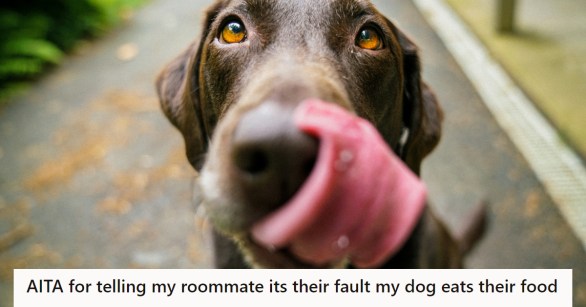 Source: Reddit/AITA/Unsplash/James Barker