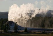 Hydrothermal Explosion At Yellowstone National Park’s Biscuit Basin Causes Tourists To Flee Debris And Boiling Water