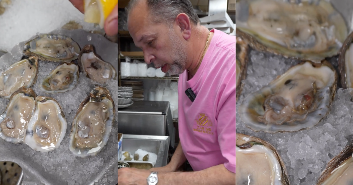 “Is it true that oysters are alive when you eat them?” – Seafood restaurant chef reveals what really happens to oysters when you eat them » TwistedSifter