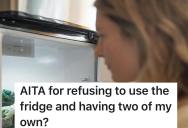 Bad Roommates Refuse To Take Responsibility For A Disgusting Fridge, So When She Finally Moves Out She Refuses To Do Their Dirty Work