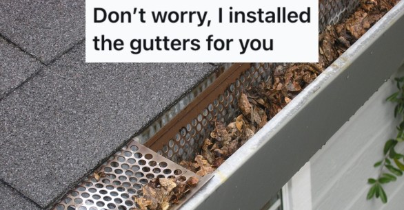 Source: Reddit/Pixabay