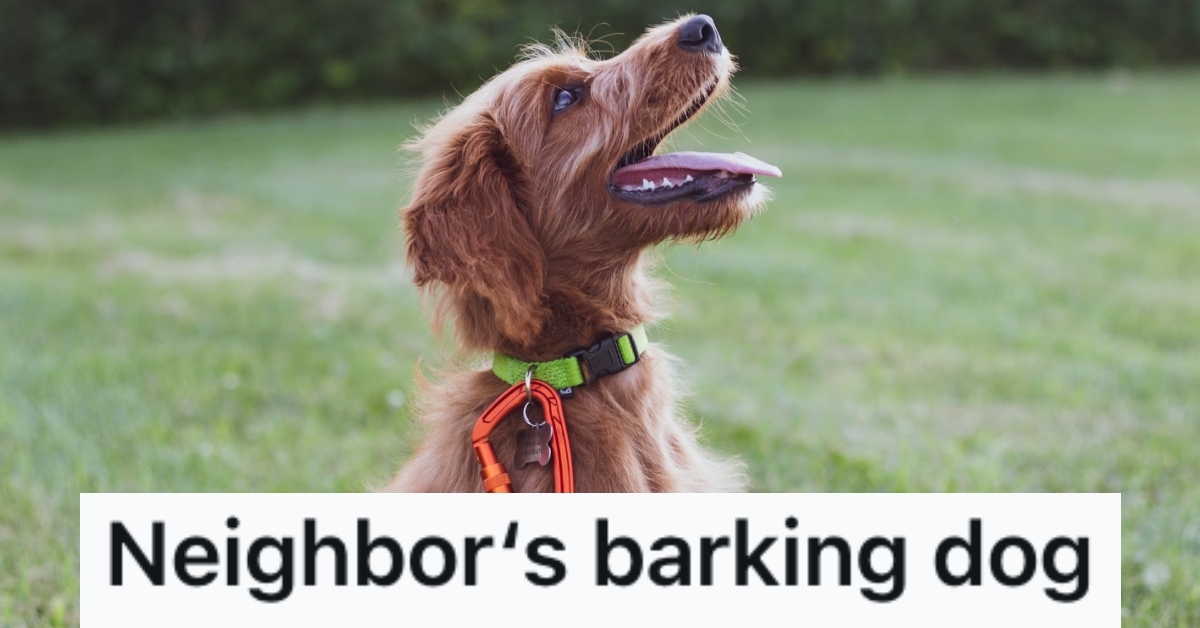 Her neighbor’s dog wouldn’t stop barking, so she wouldn’t let the owner sleep until she did something about it » TwistedSifter