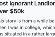 Their Landlord Wouldn’t Take Care Of Persistent Mold Issues, So They Reported Him And He Ended Up With $50k In Fines