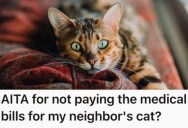 Neighbor’s Cat Came Into Their House and Their Dog Attacked It. Now The Neighbor Is Demanding They Help Pay The Cat’s Medical Bills But They Refuse.