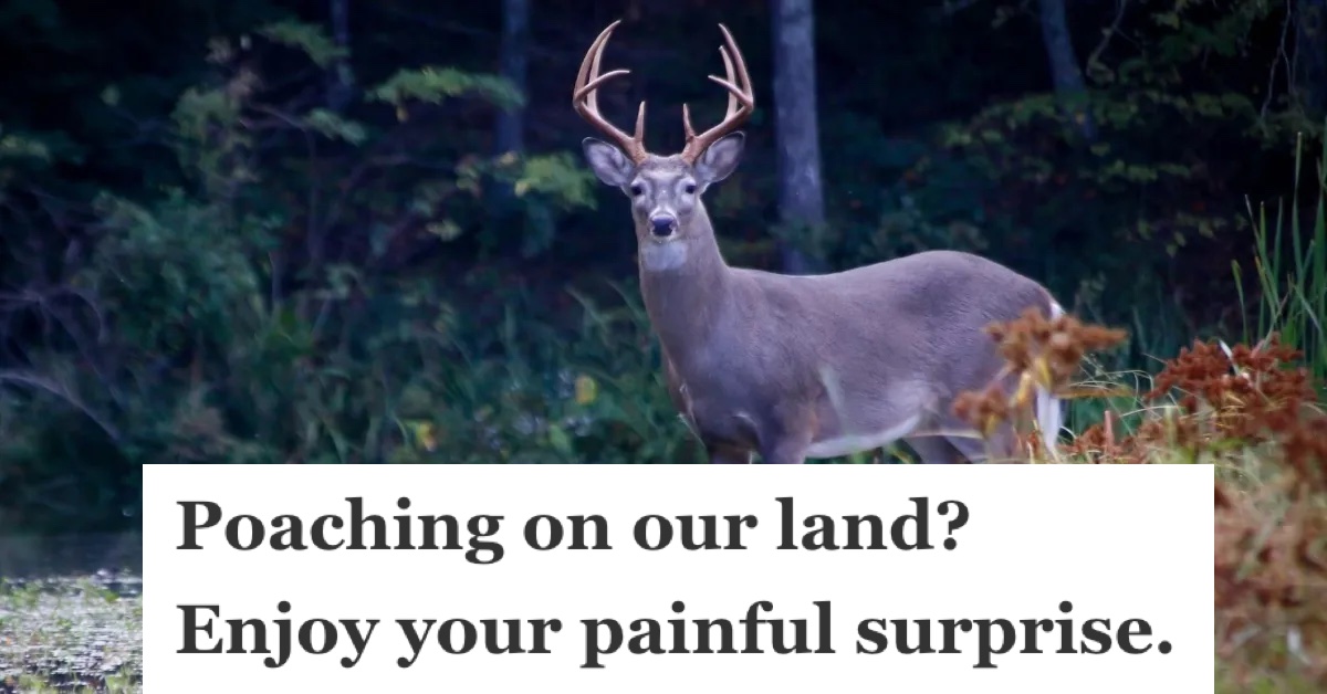 A property owner’s friend was poaching deer on his property, so they set a trap themselves to stop him » TwistedSifter