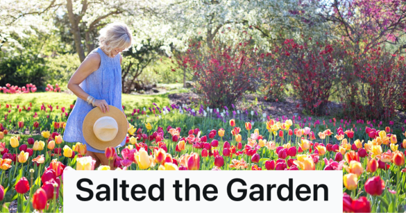 Source: Reddit/PettyRevenge/Pexels/Jill Wellington