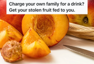 Uncle Makes Nephew Pay For A Can Of Soda, So His Dad Secretly Stole All Of The Peaches From His Brother’s Tree And Fed Them Back To Him