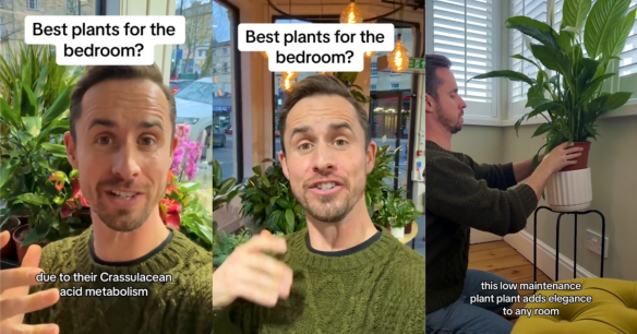 Source: TikTok/@themediterraneangardener