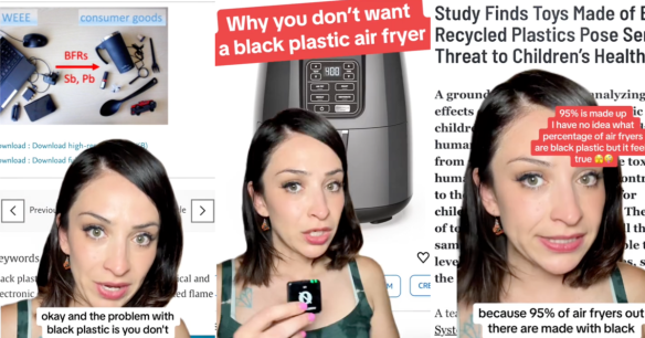 Source: TikTok/@antiplasticlady