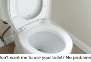 Homeowner Refuses Builder Access To Toilet During Renovation, So He Bills Her For Travel Time