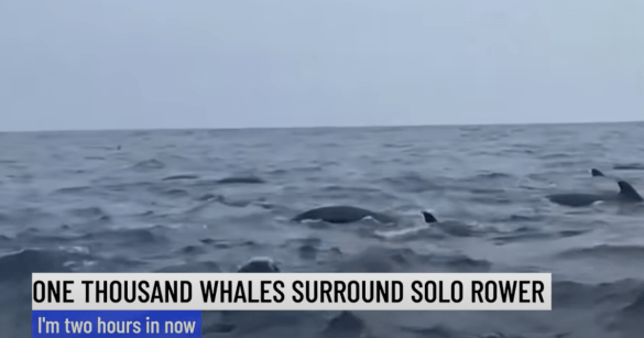 Source: Instagram/@TomWaddington_Skier