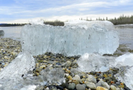 If You Ever Come Upon The Beautiful “Candle Ice” On Northern Lakes, Enjoy Its Amazing Sounds But Do Not Try To Walk On It