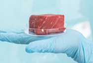 Could Lab-Grown Beef Be The Wave Of The Future? Scientists May Have Discovered How To Make Cultured Meat Much More Appetizing.