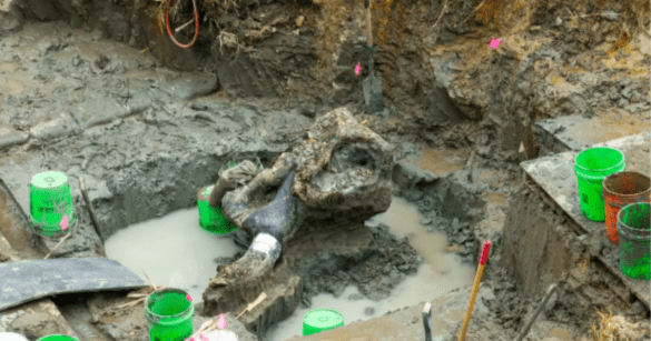 Source: Kirk Murray/University of Iowa Office of the State Archaeologist