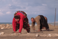 Is The Family That Walks On All Fours Proof Of “Backwards Evolution?”