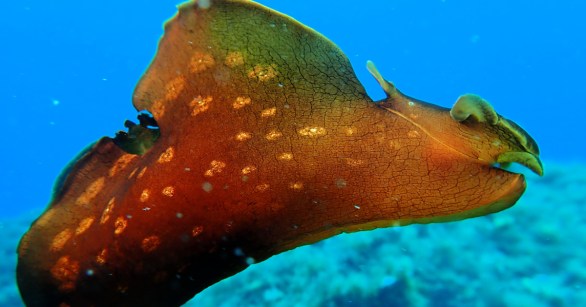 Source: Shutterstock