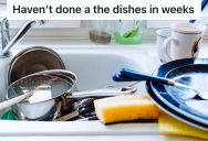 Her Roommate Refuses To Wash The Dishes Even After She Talked To Her About It Multiple Times, So She Stopped Doing The DIshes For Weeks To Prove A Point