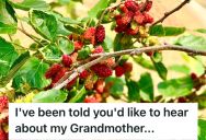 Grandma Asked Her Neighbor To Trim His Mulberry Tree, But He Refused Multiple Times. So She Executed A Revenge That Was Years In The Making.