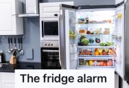 Her Forgetful Partner Often Leaves The Fridge Door Open, So She Set Up An Alarm That Would Get Loud The Next Time