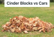 Local Teens Would Drive Through Piles Of Leaves In The Neighborhood, So This Girl Hid Cinder Blocks Under The Pile To Get Them To Stop