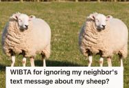 Homeowner Is Raising Two Sheep On His Property, But Now He Got A Complaint From One Of Their Neighbors Saying The Sheep Are Causing Them Allergies