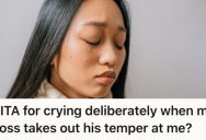 Her Boss Is A Bully And Yelled At Her In A Zoom Call, So She Gets Him To Stop Her By Turning On The Tears