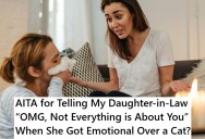 Her Daughter-In-Law Cries About A Family Cat She Never Met, So She Scolds Her For Being Emotional Over Nothing