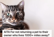 A Lost Cat Was Found More Than 1000 Miles From Home, But The Cat’s Owner Can’t Afford To Fly To Pick Up The Cat