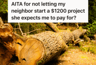 He Planned To Clear The Debris From His Yard Himself, But Then His Neighbor Had Another Suggestion That Would Cost Him $1,200.