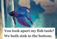 Entitled Aunt Destroys His Siamese Fighting Fish’s Home And Life, So He Wrecks Her Most Sentimental Possession In Return