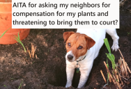 Neighbor’s Dog Got Into Their Berry Patch And Ruined Several Plants, But When He Told The Neighbors They Had To Pay For The Damage They Just Laughed