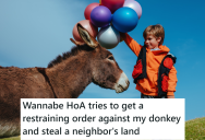 HOA Wants To Get Rid Of A Homeowner’s Donkey And Steal A Neighbor’s Land, So They Fight Back Through The Legal System