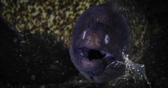 Source: Pexels/Riccardo Marchegiani