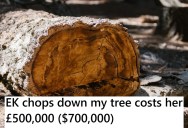 Jealous Neighbor Trespasses And Cuts Down Two Ancient Sequoias, But They End Up Having To Sell Their House To Pay For The Damages