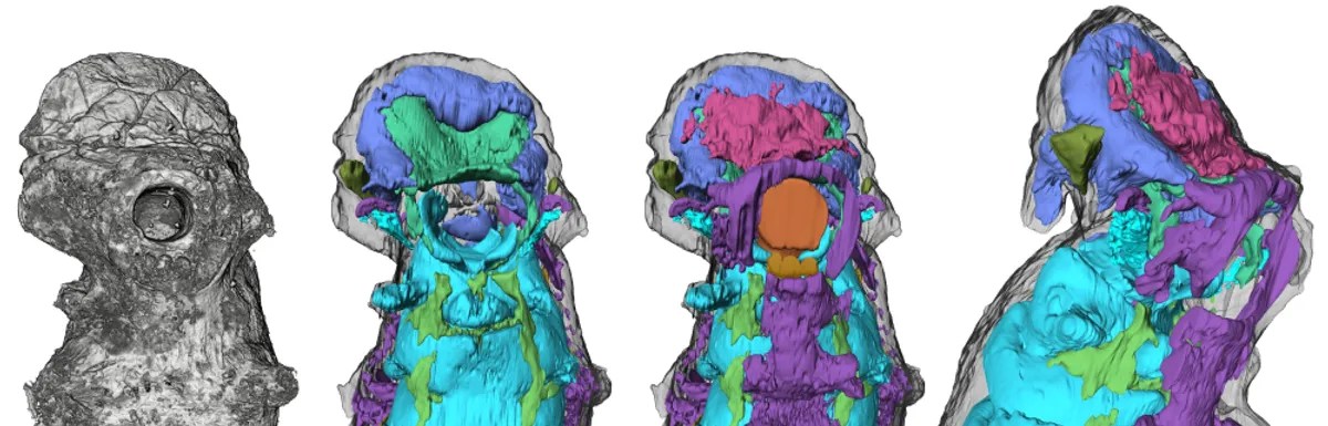 Source: Smith et al., Nature, 2024 