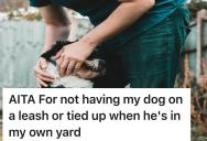 Pet Owner Doesn’t Have Their Dog On A Leash In Their Own Yard, So When It Runs Over To Greet A Neighbor And Their Much Larger Dog… Things Get Heated