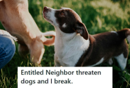 His Neighbor Loathed Pets And Kept Reporting His Dogs, So He Took Legal Action That Forced Him Out Of The Building